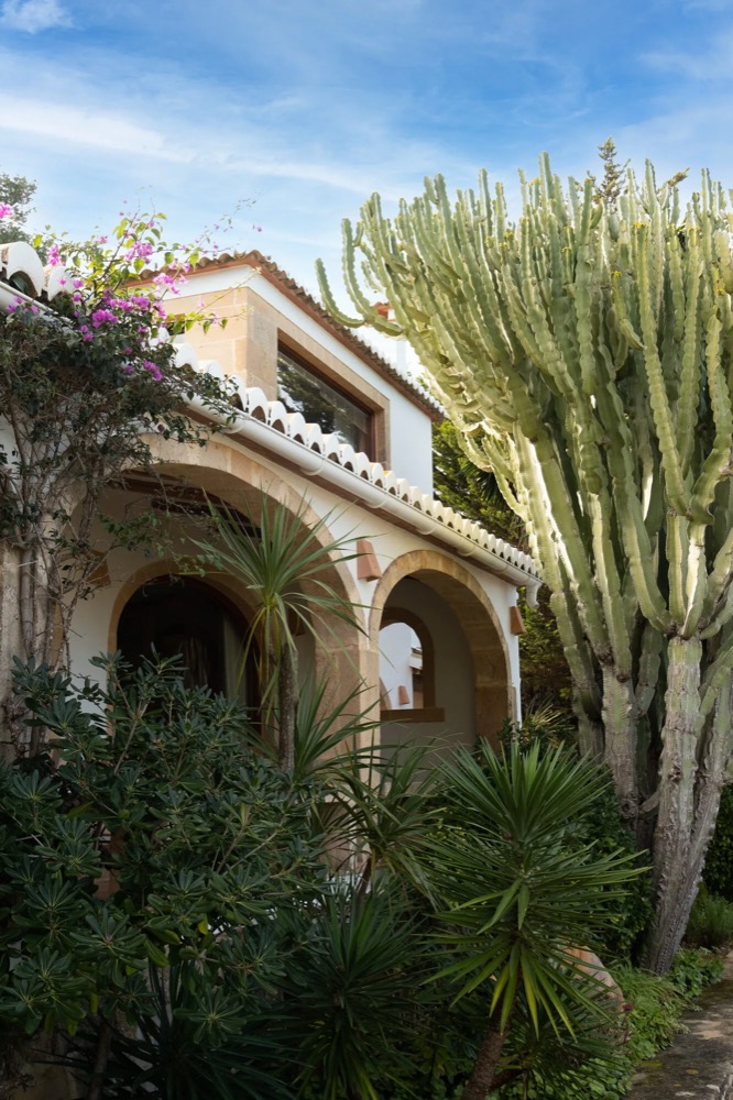Tosalet Home
